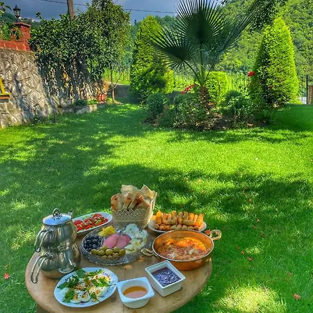 Villa Greenland Premium 61