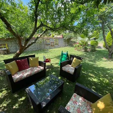 Villa Greenland Premium 61