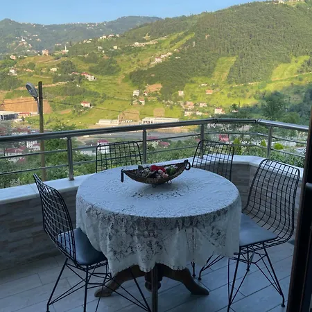 Villa Greenland Premium 61 *