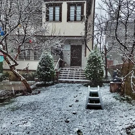 Villa Greenland Premium 61