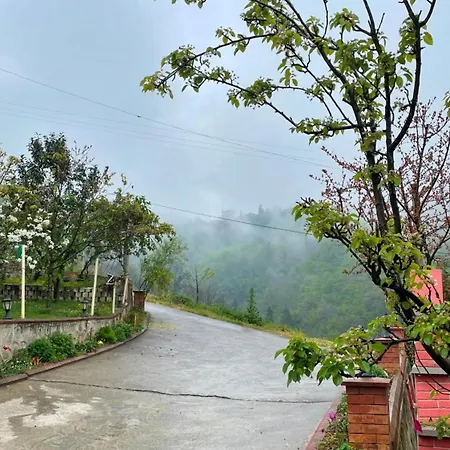 Greenland Premium 61 * Trabzon